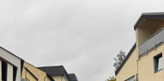 Erbach soll grüner werden