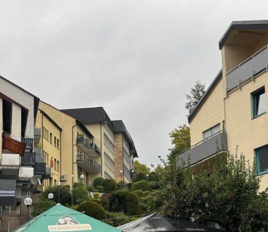 Erbach soll grüner werden