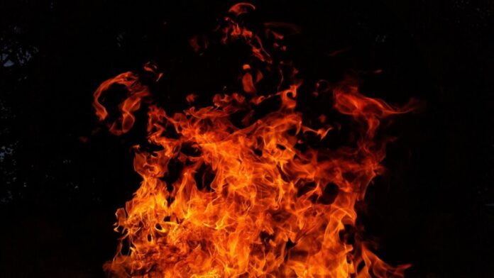 ronaldplett-fire-2821775