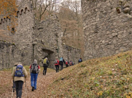 Raus ins Odenwälder Herbstglück!