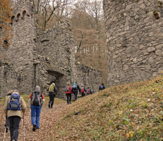 Raus ins Odenwälder Herbstglück!