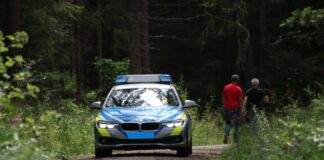 Vermisster 80-Jähriger unterkühlt im Wald aufgefunden
