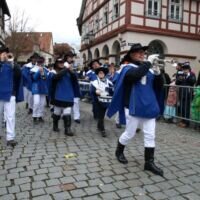 Narrenumzug in Michelstadt
