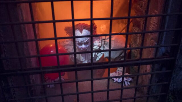 Bildautor: (c) Michael Morgenstern